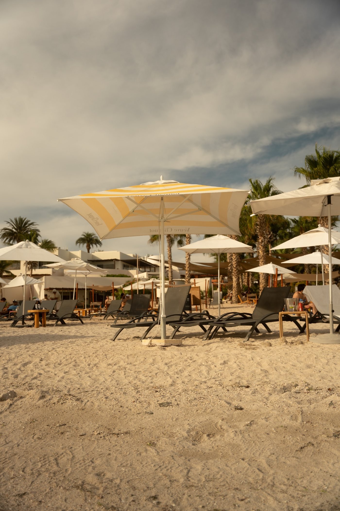 Umbrellas and loungers at the beach club