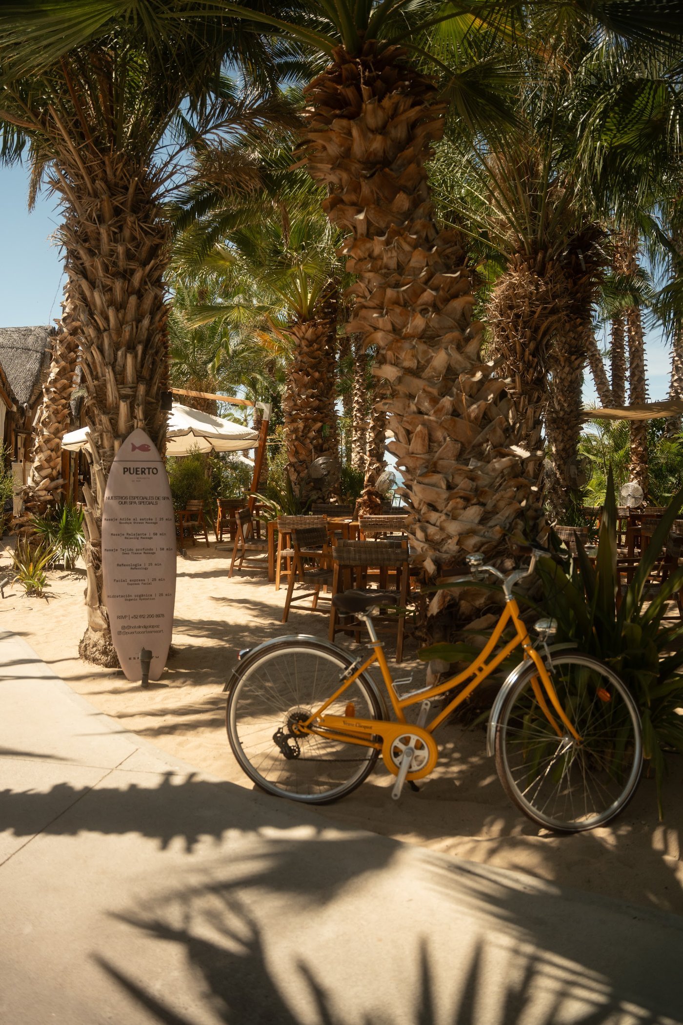 A bicycle under the palms on the way to the beach