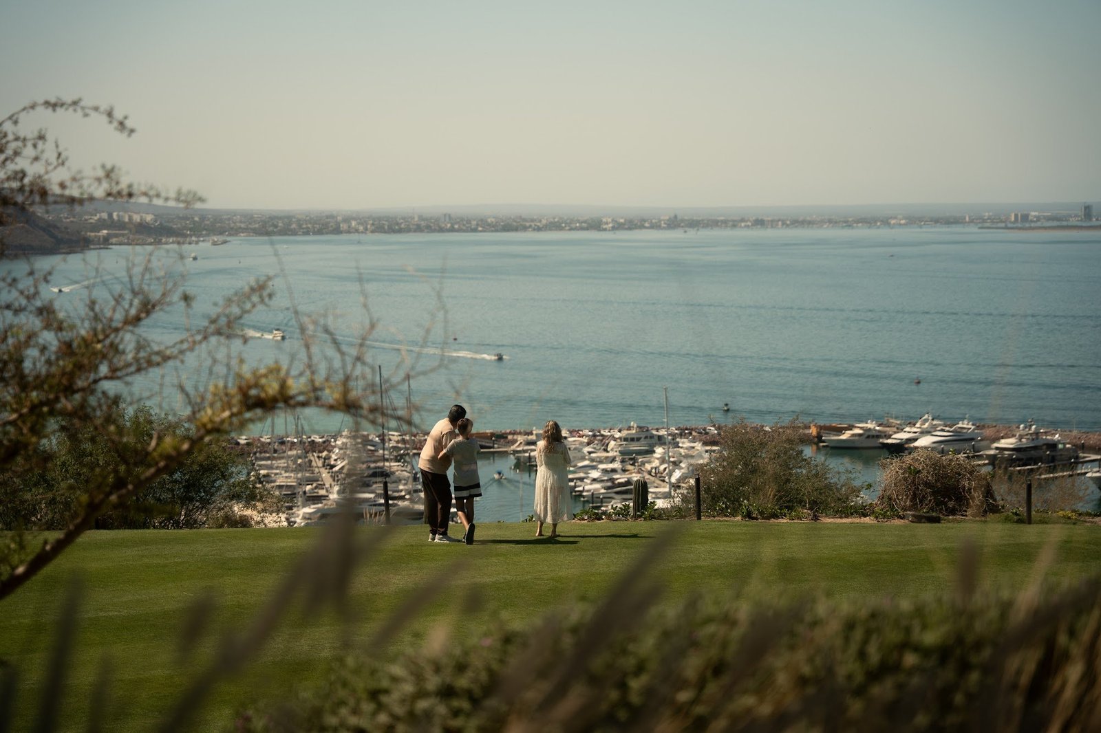 Looking out over the marina and the bay