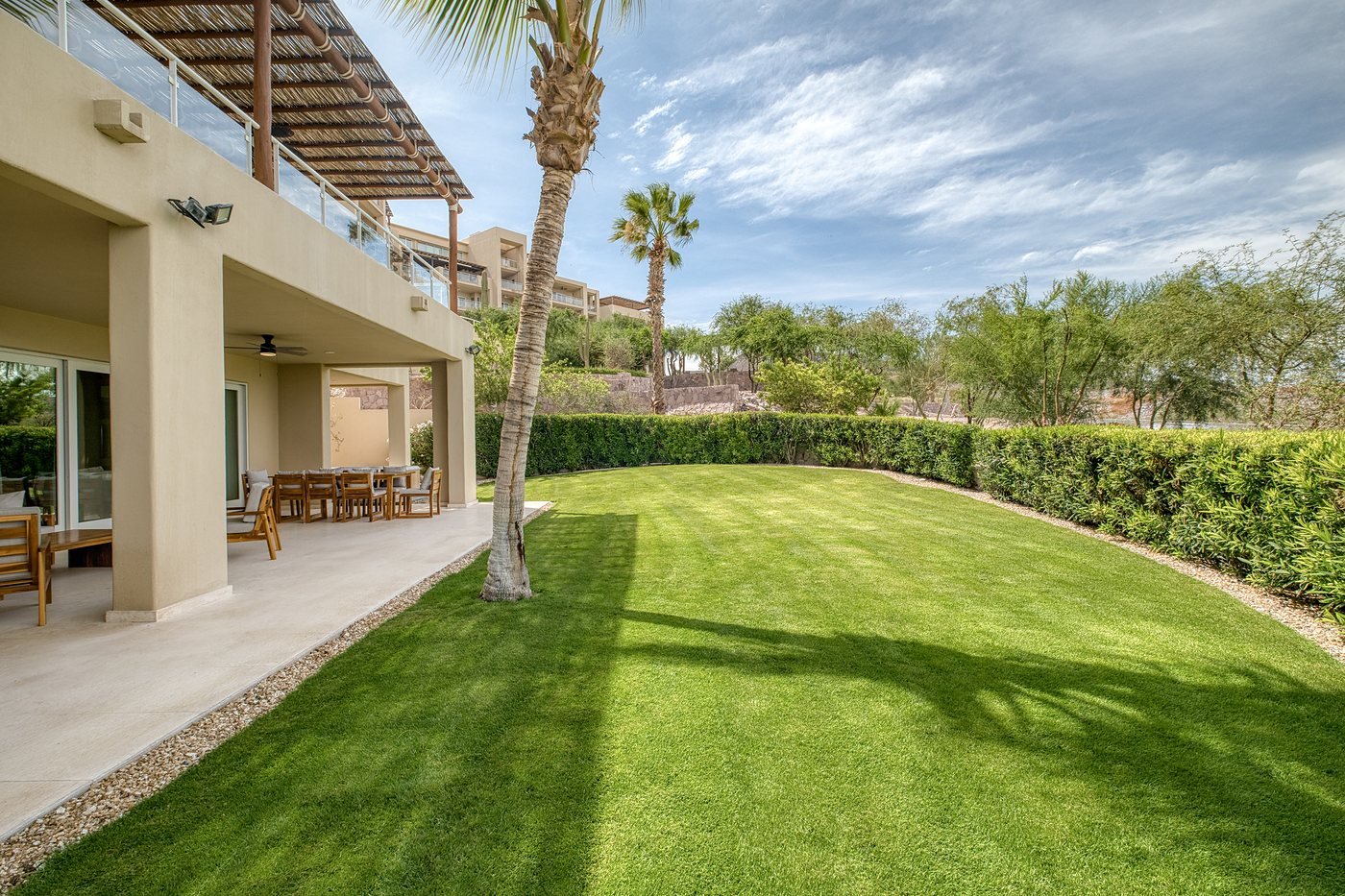 Villa garden with palms